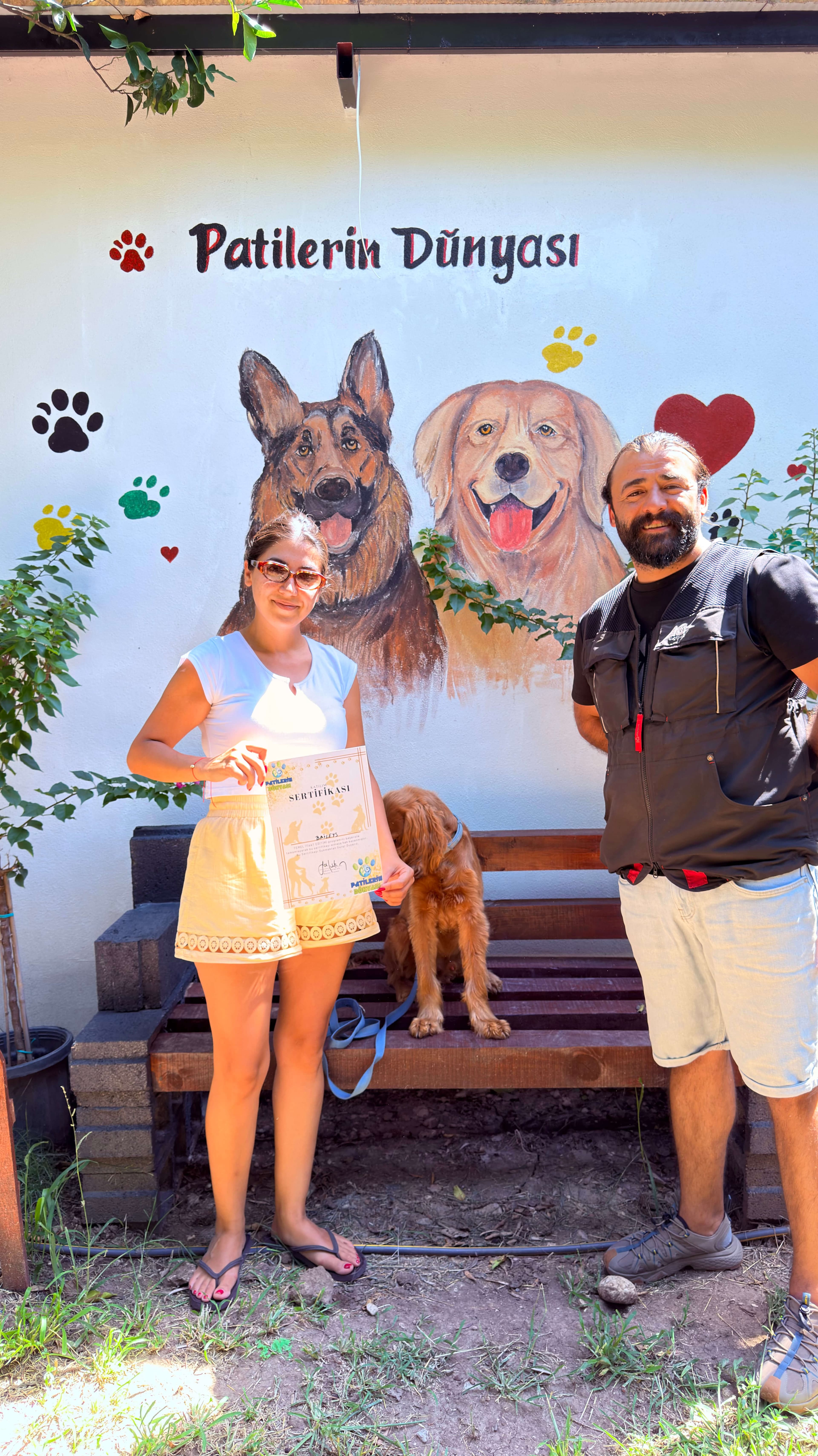Köpek eğitimi sertifikası anı