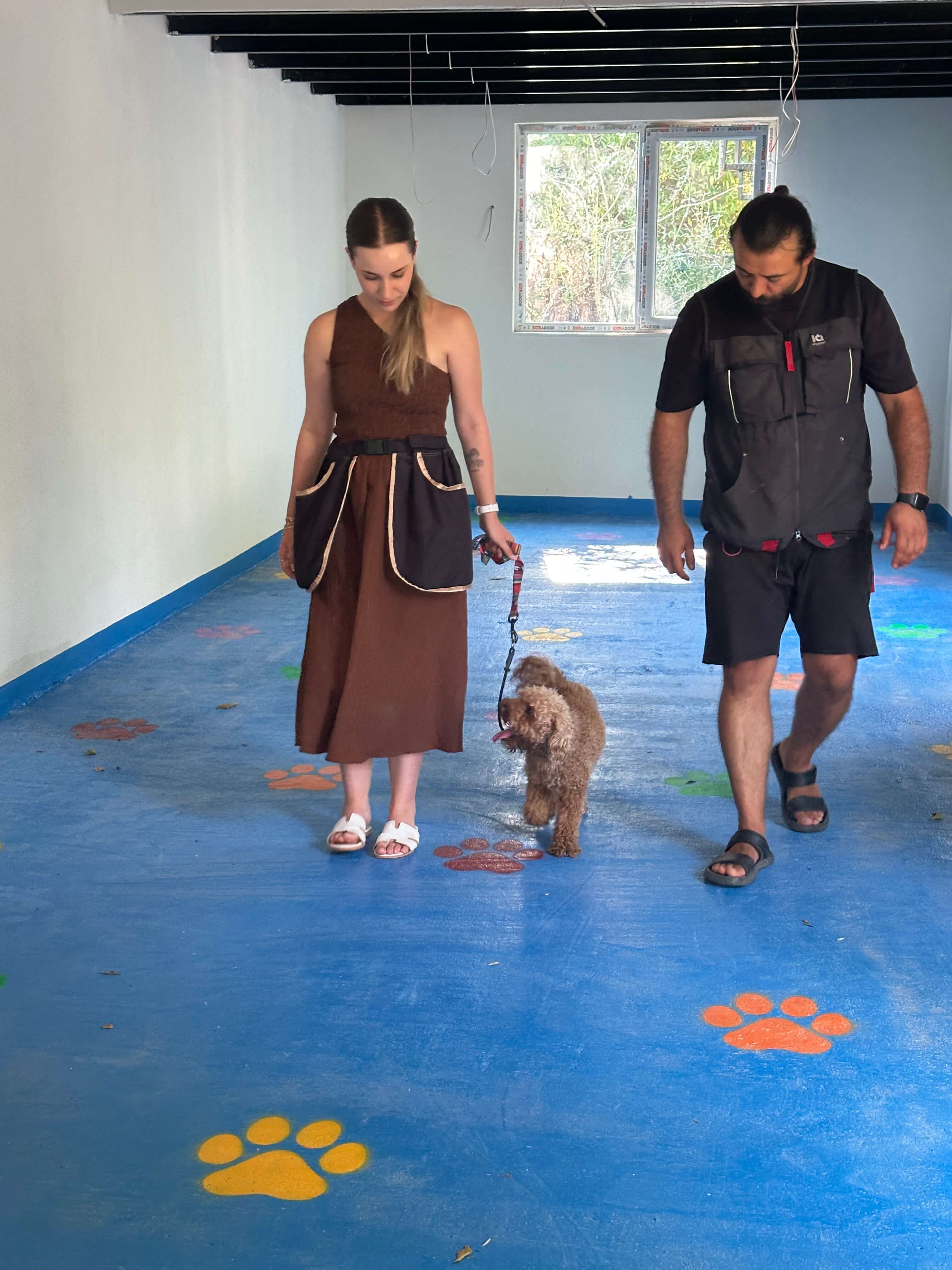 Patilerin Dünyası köpek eğitimi odasında yürüyüş çalışması