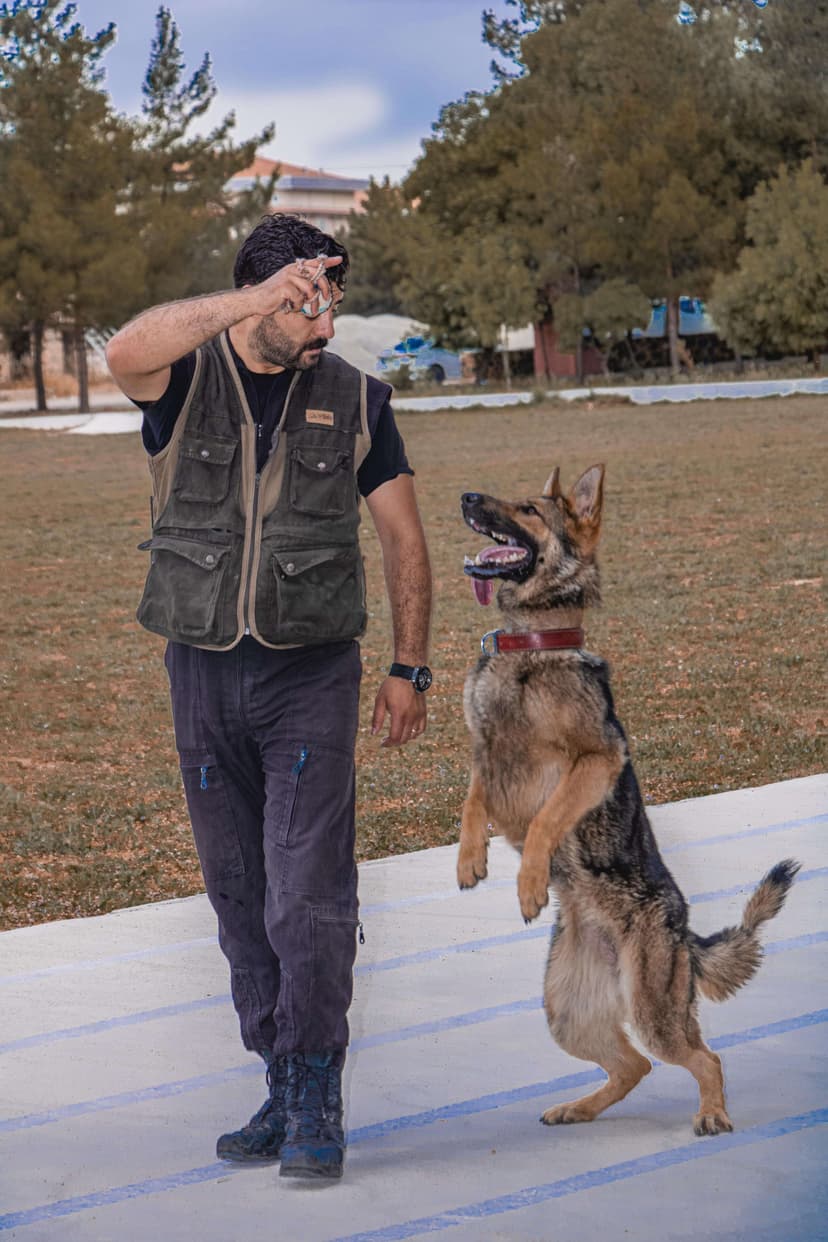 Mutlu misafirimiz 4