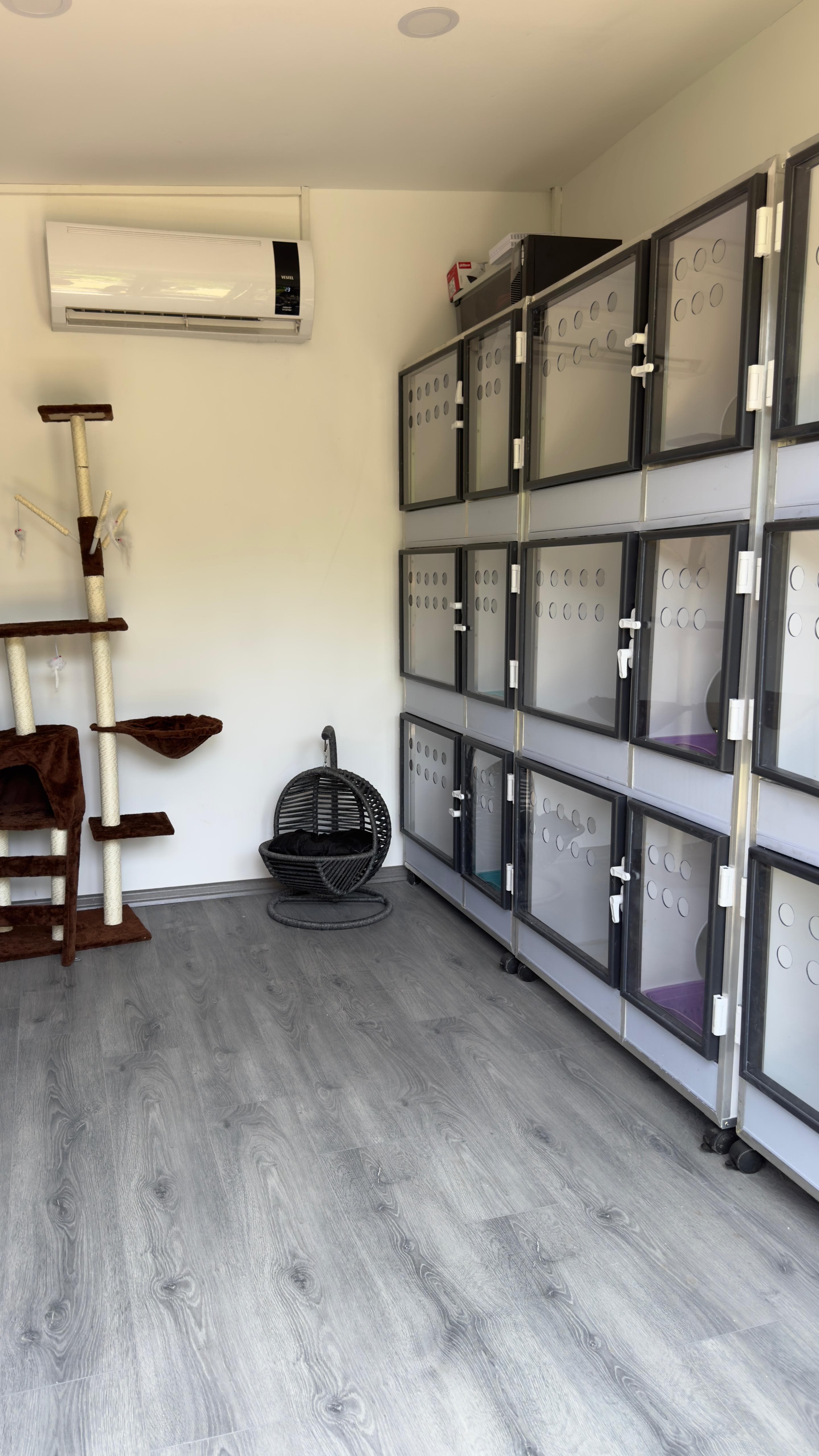 Kedi pansiyonu görünüm 1