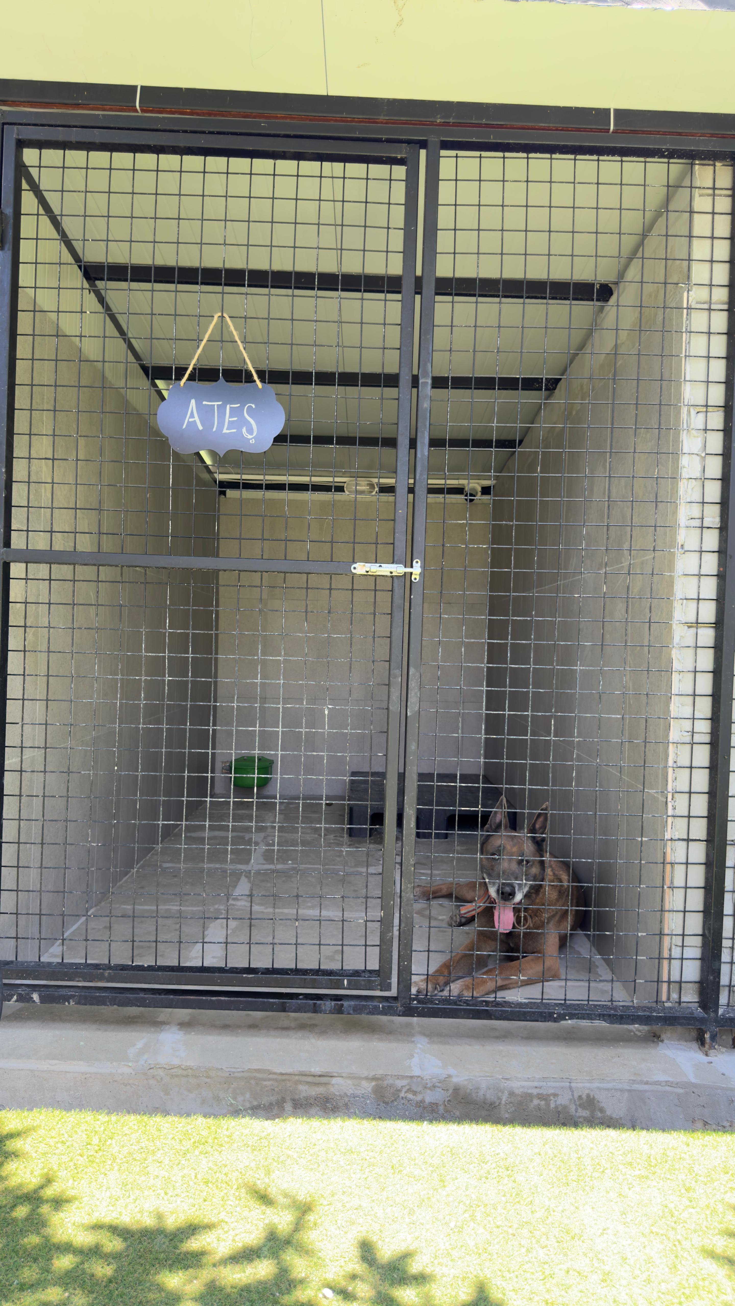 Patilerin Dünyası Galeri 3