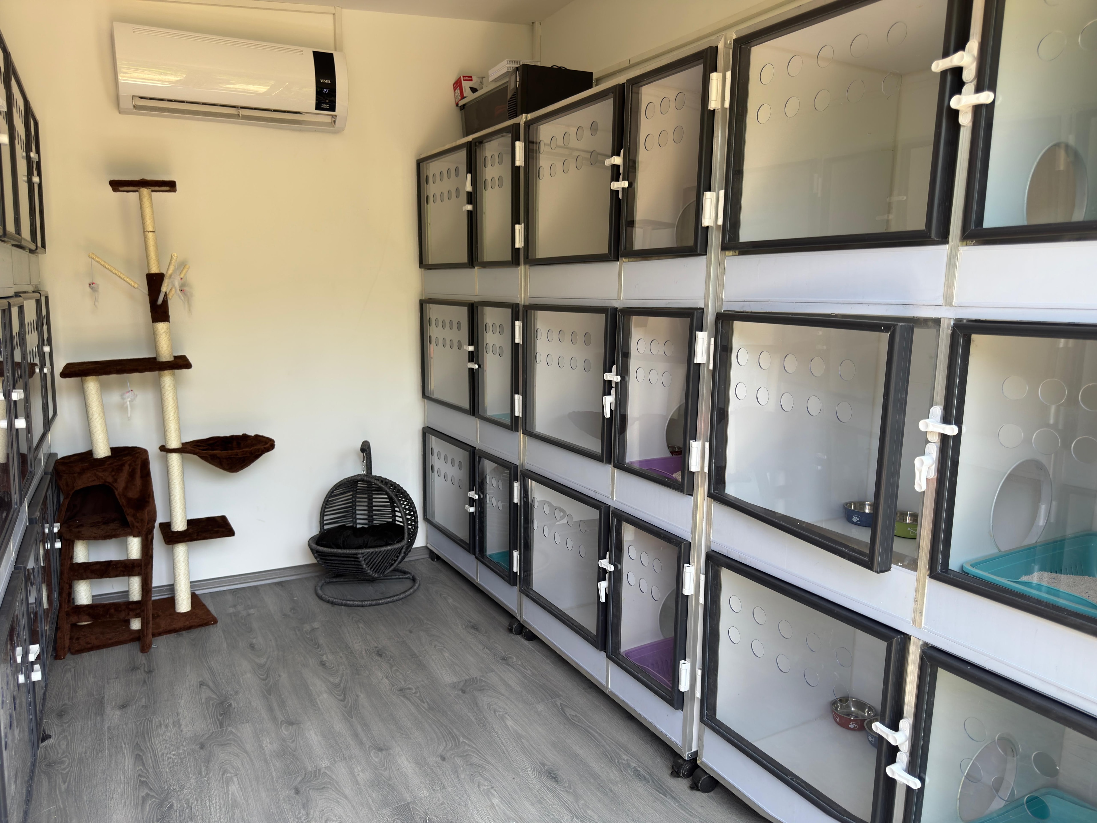 Patilerin Dünyası Galeri 6