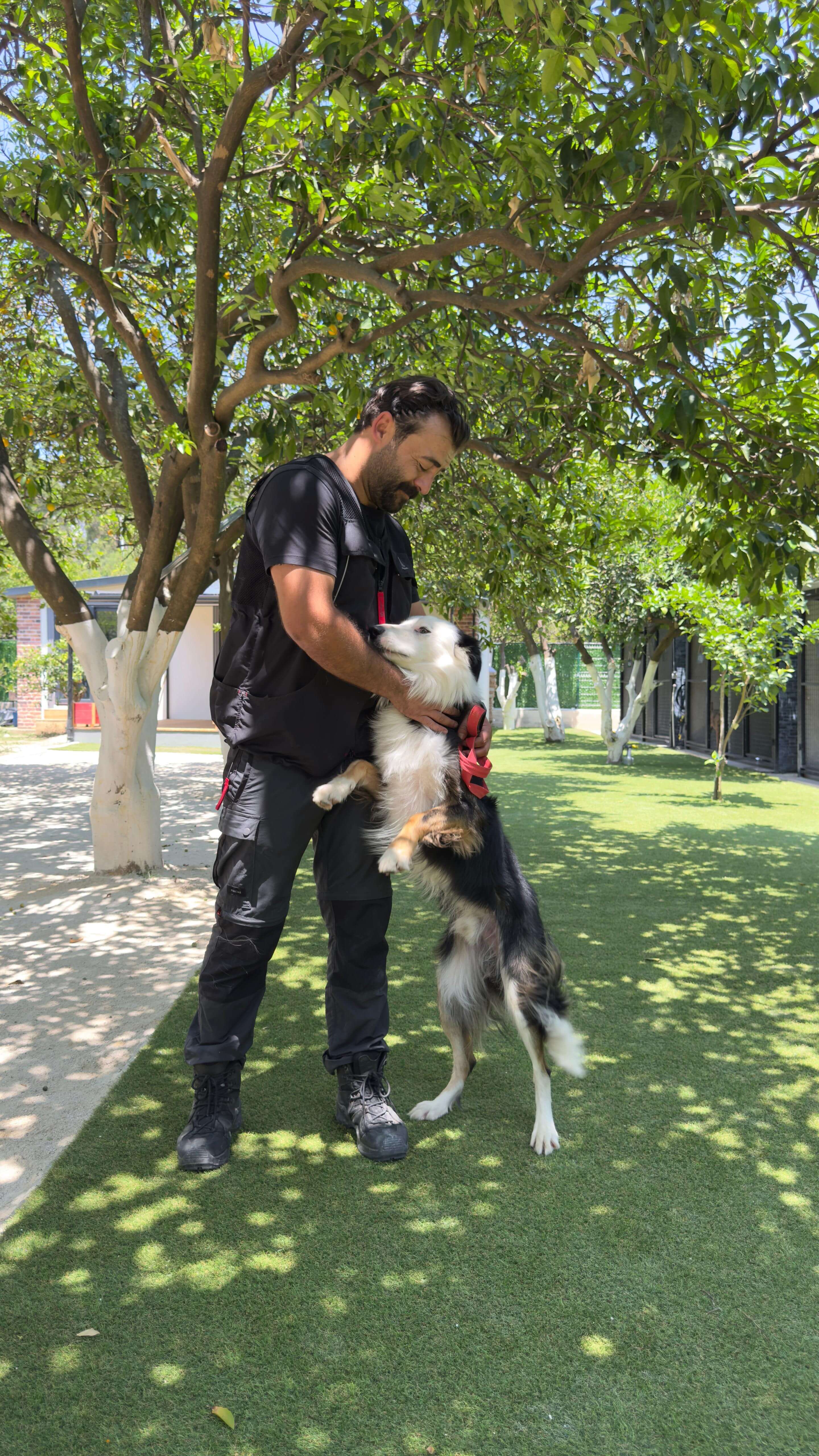 Patilerin Dünyası eğitmeni köpekle çalışırken