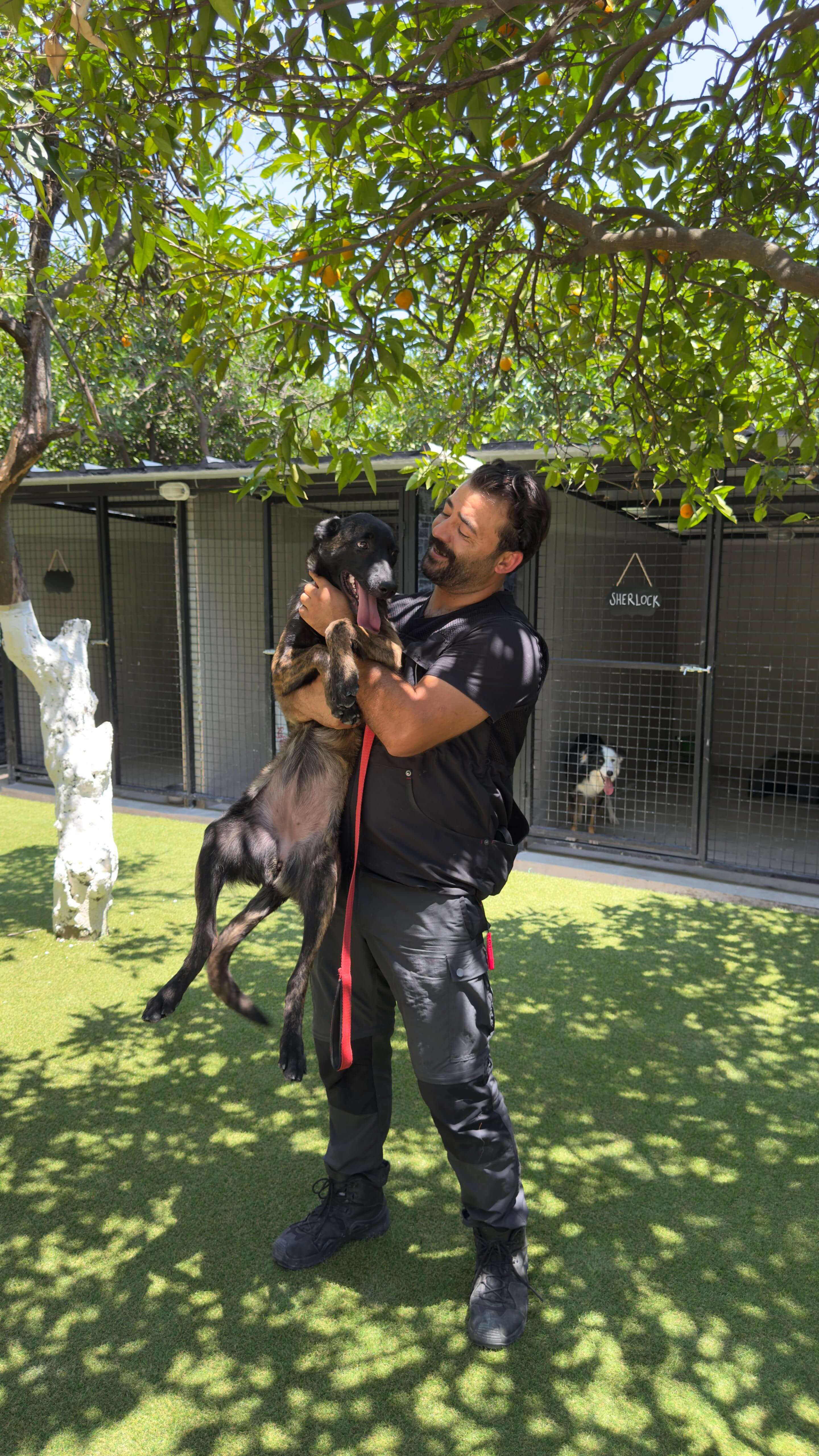 Patilerin Dünyası eğitmeni ve köpek, oyun anı